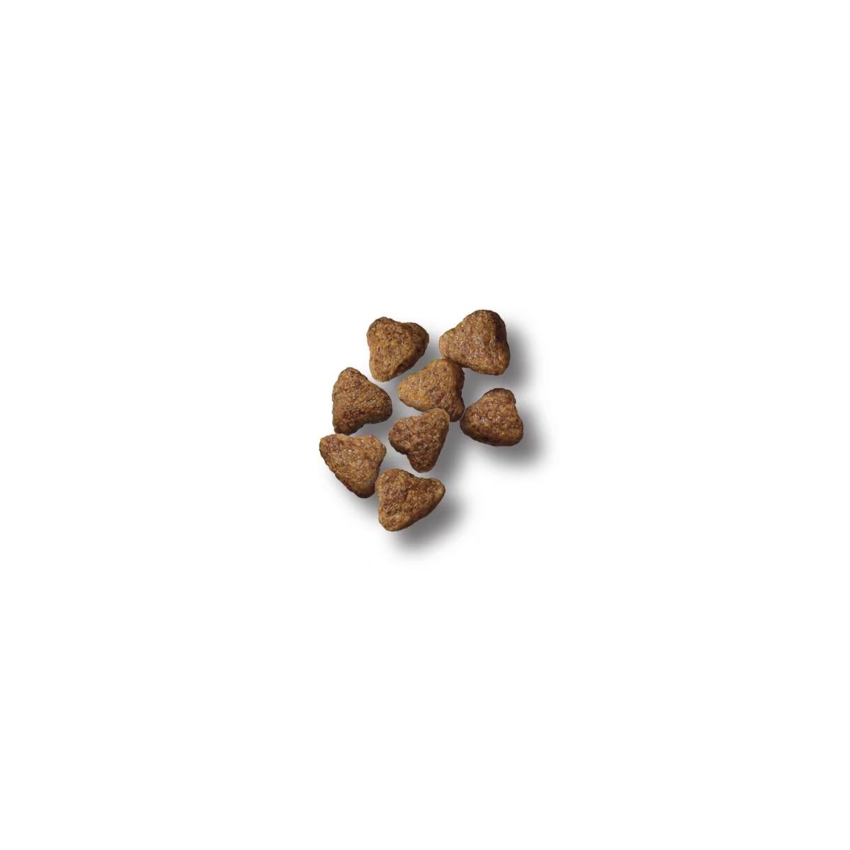 Sport Performance 30/20 Beef & Bison Formula Dry Dog Food - Image 2