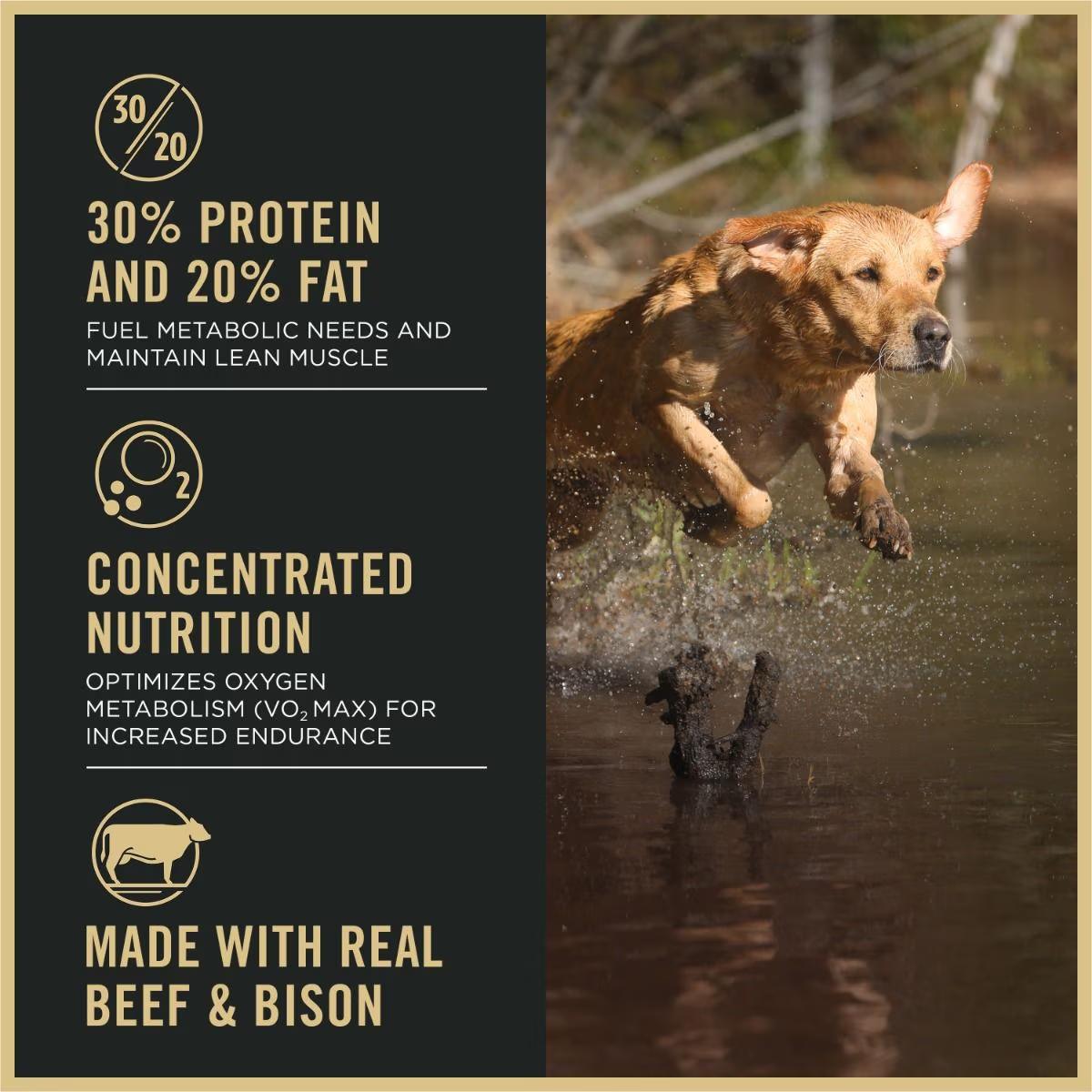 Sport Performance 30/20 Beef & Bison Formula Dry Dog Food - Image 3