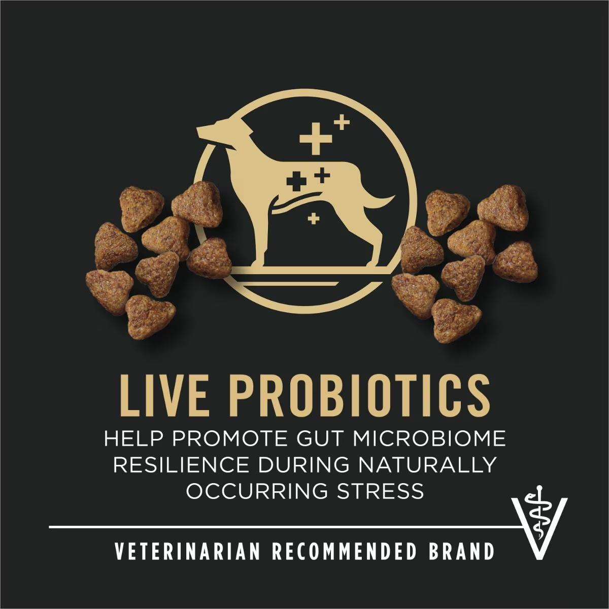 Sport Performance 30/20 Beef & Bison Formula Dry Dog Food - Image 5
