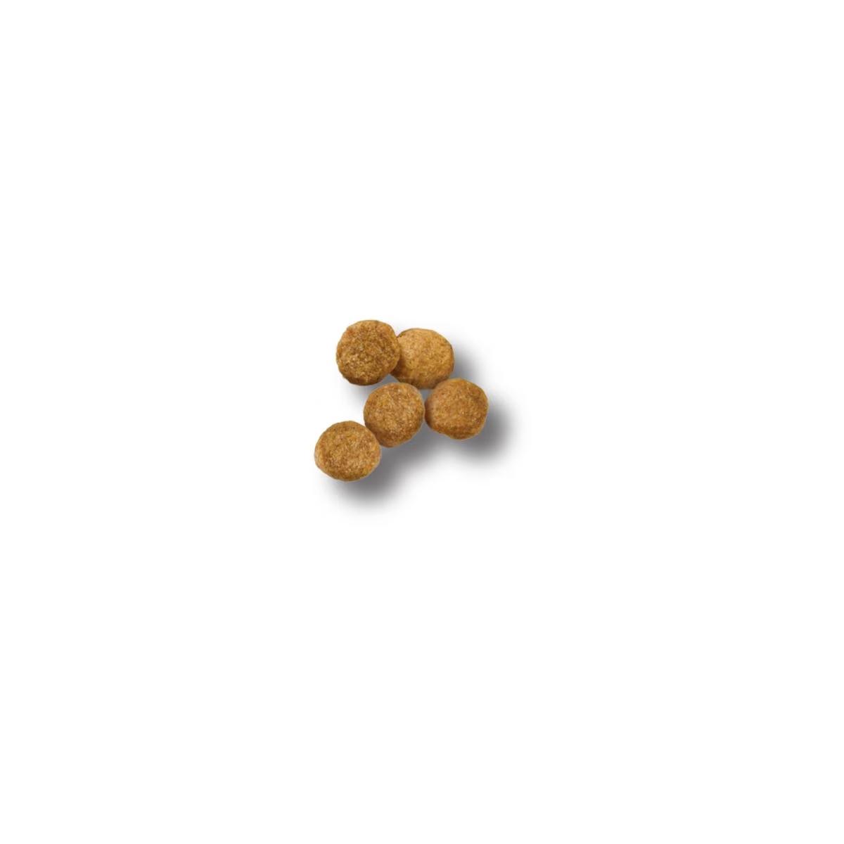 Puppy Lamb & Rice Formula Dry Dog Food - Image 2