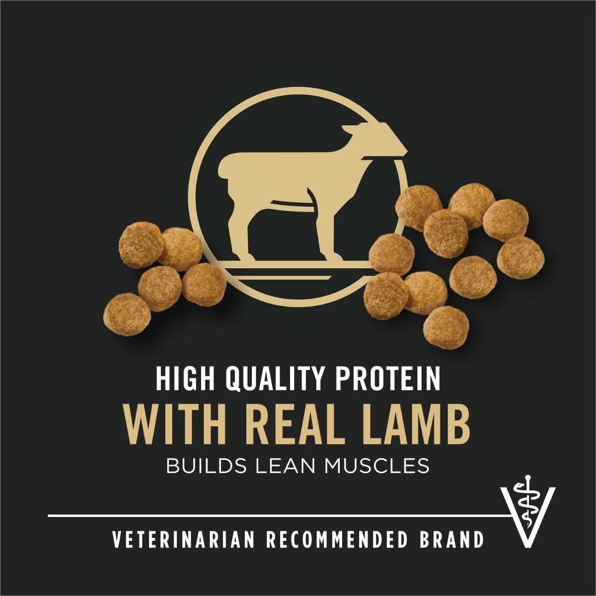 Puppy Lamb & Rice Formula Dry Dog Food - Image 3