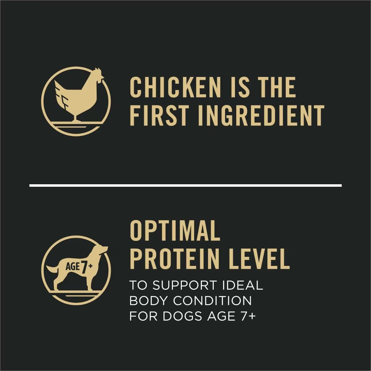 Complete Essentials Adult 7+ Shredded Blend Chicken & Rice Formula Dry Dog Food - Image 4