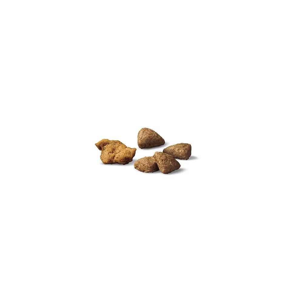 Complete Essentials Shredded Blend Chicken & Rice Dry Dog Food - Image 2
