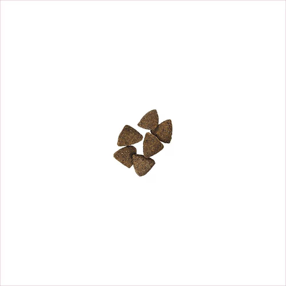 Specialized Sensitive Skin & Stomach Salmon & Rice Dry Dog Food - Image 2
