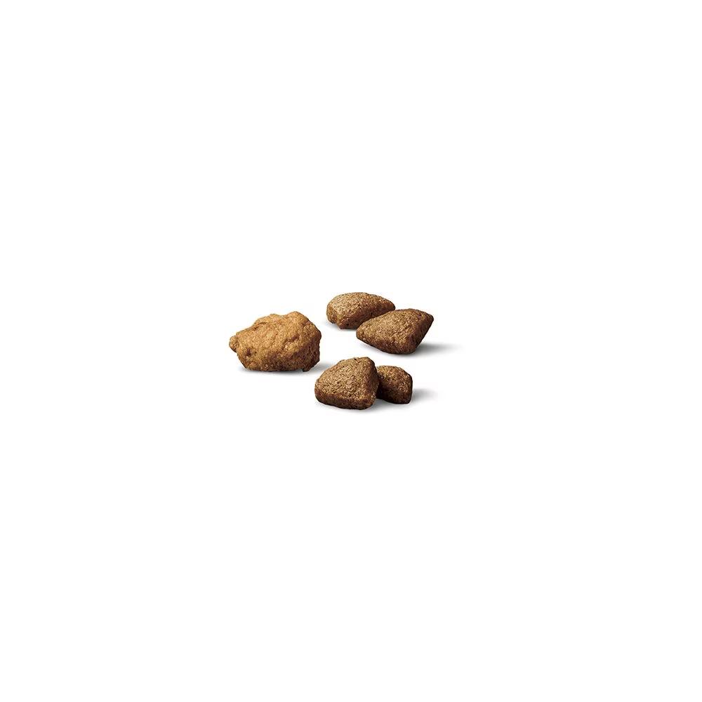 Complete Essentials Shredded Blend Salmon & Rice Dry Dog Food - Image 2