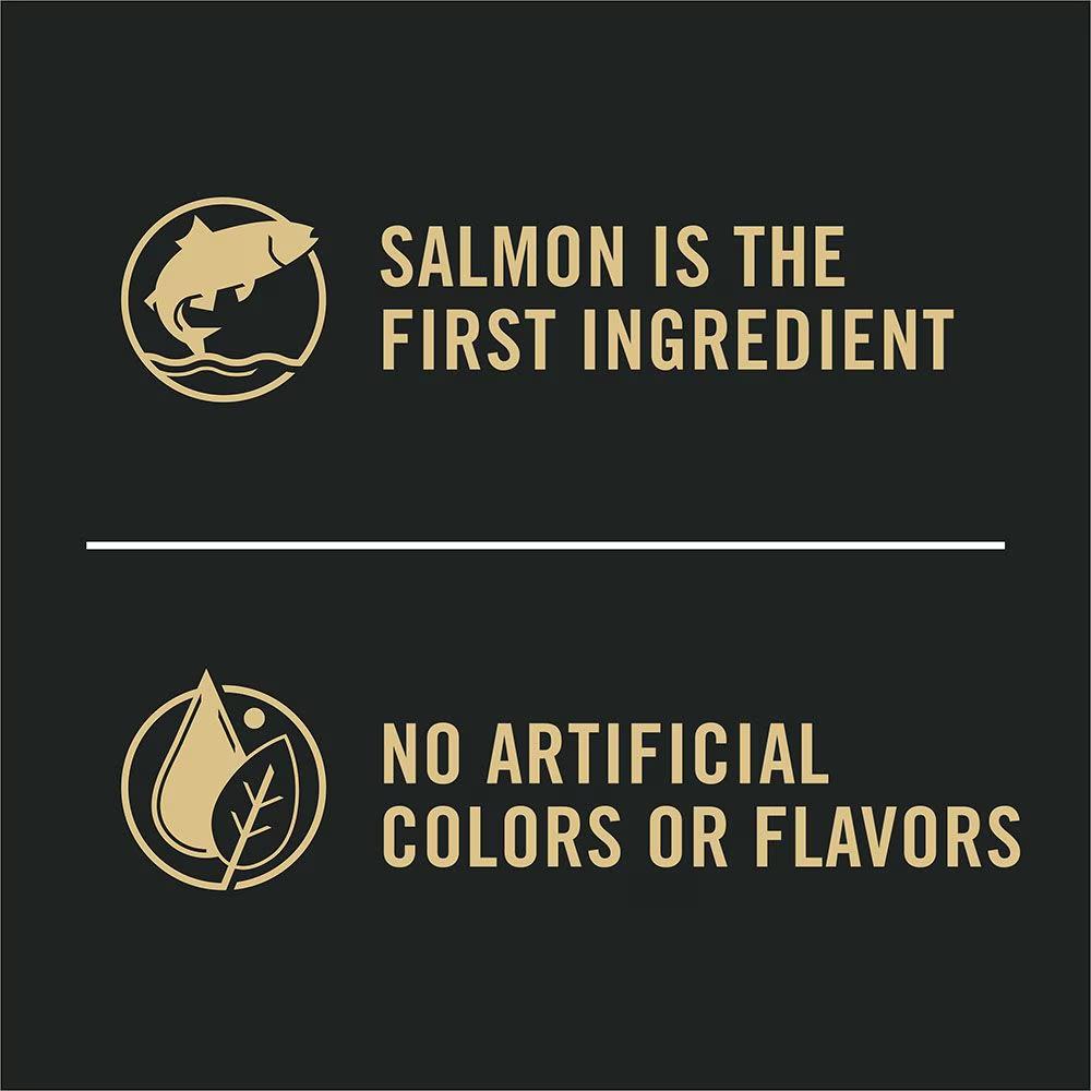 Complete Essentials Shredded Blend Salmon & Rice Dry Dog Food - Image 3