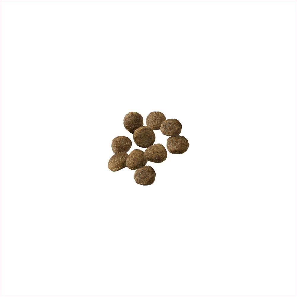 Development Sensitive Skin & Stomach Salmon & Rice Dry Puppy Food - Image 2