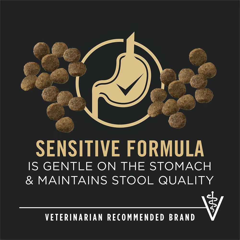 Development Sensitive Skin & Stomach Salmon & Rice Dry Puppy Food - Image 6