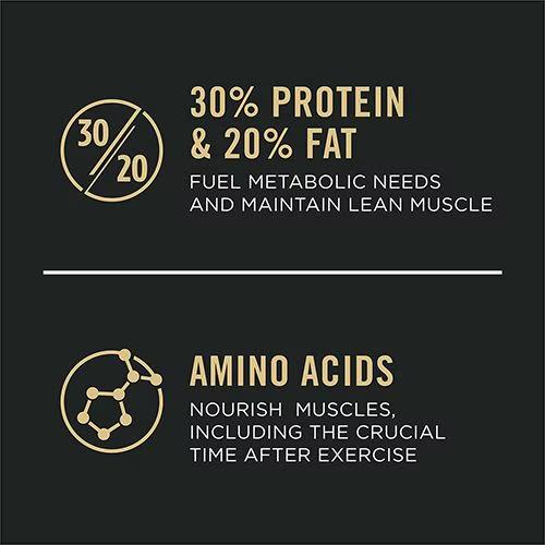 Sport Performance 30/20 All Life Stages Chicken & Rice Dry Dog Food - Image 3