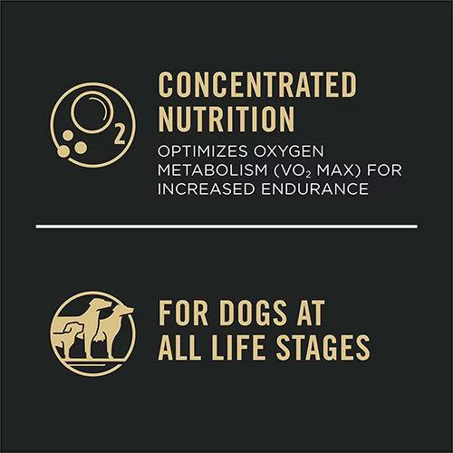 Sport Performance 30/20 All Life Stages Chicken & Rice Dry Dog Food - Image 4