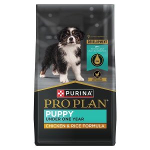 Development Chicken & Rice Dry Puppy Food