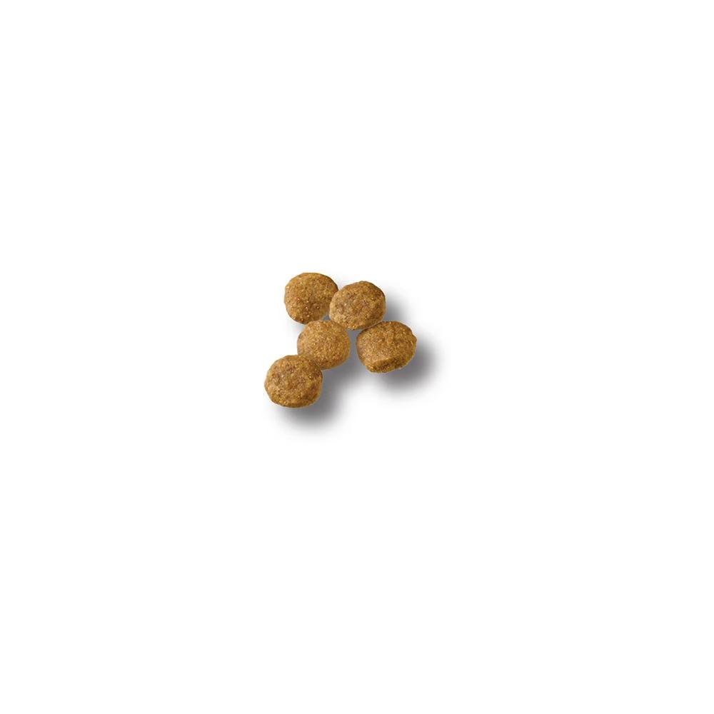 Development Chicken & Rice Dry Puppy Food - Image 2