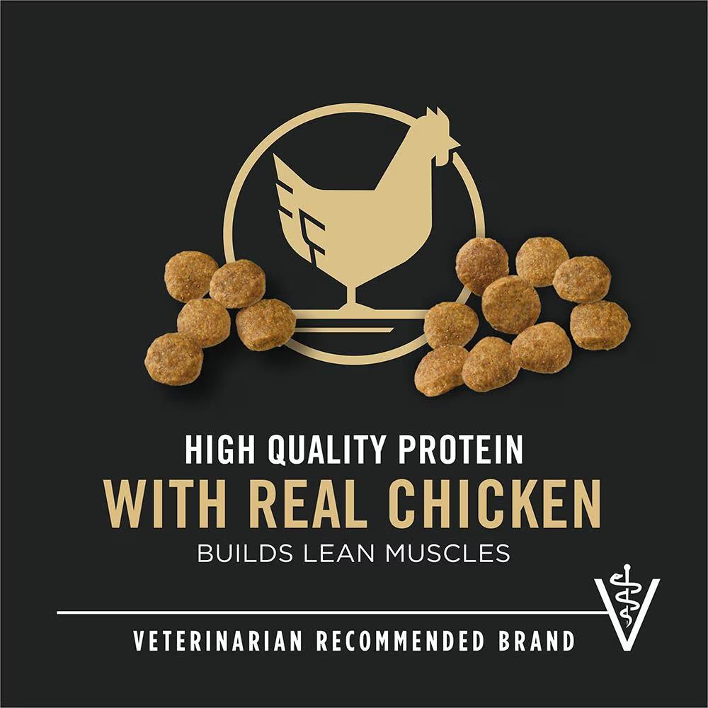 Development Chicken & Rice Dry Puppy Food - Image 3