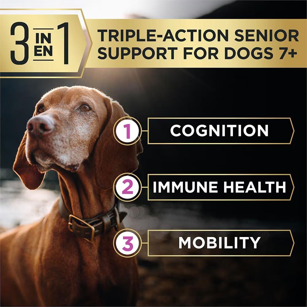 AdvantEDGE Small Breed Adult 7+ Senior Support+ Shredded Blend Chicken & Rice Formula Dry Dog Food - Image 3