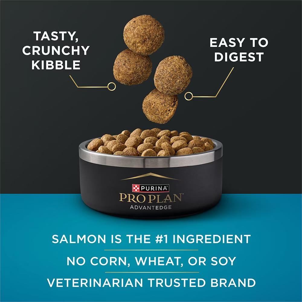 AdvantEDGE Large Breed Adult Digestive Support+ Salmon & Oat Meal Formula Dry Dog Food - Image 2
