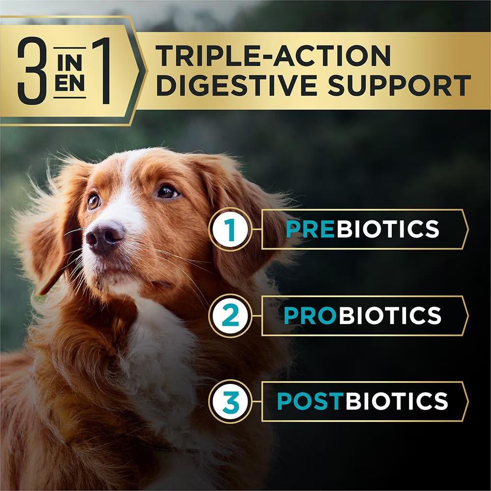AdvantEDGE Large Breed Adult Digestive Support+ Salmon & Oat Meal Formula Dry Dog Food - Image 3