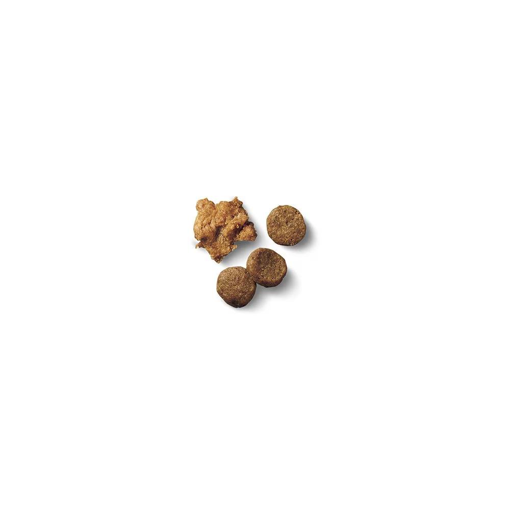 Development Shredded Blend Chicken & Rice Dry Puppy Food - Image 2