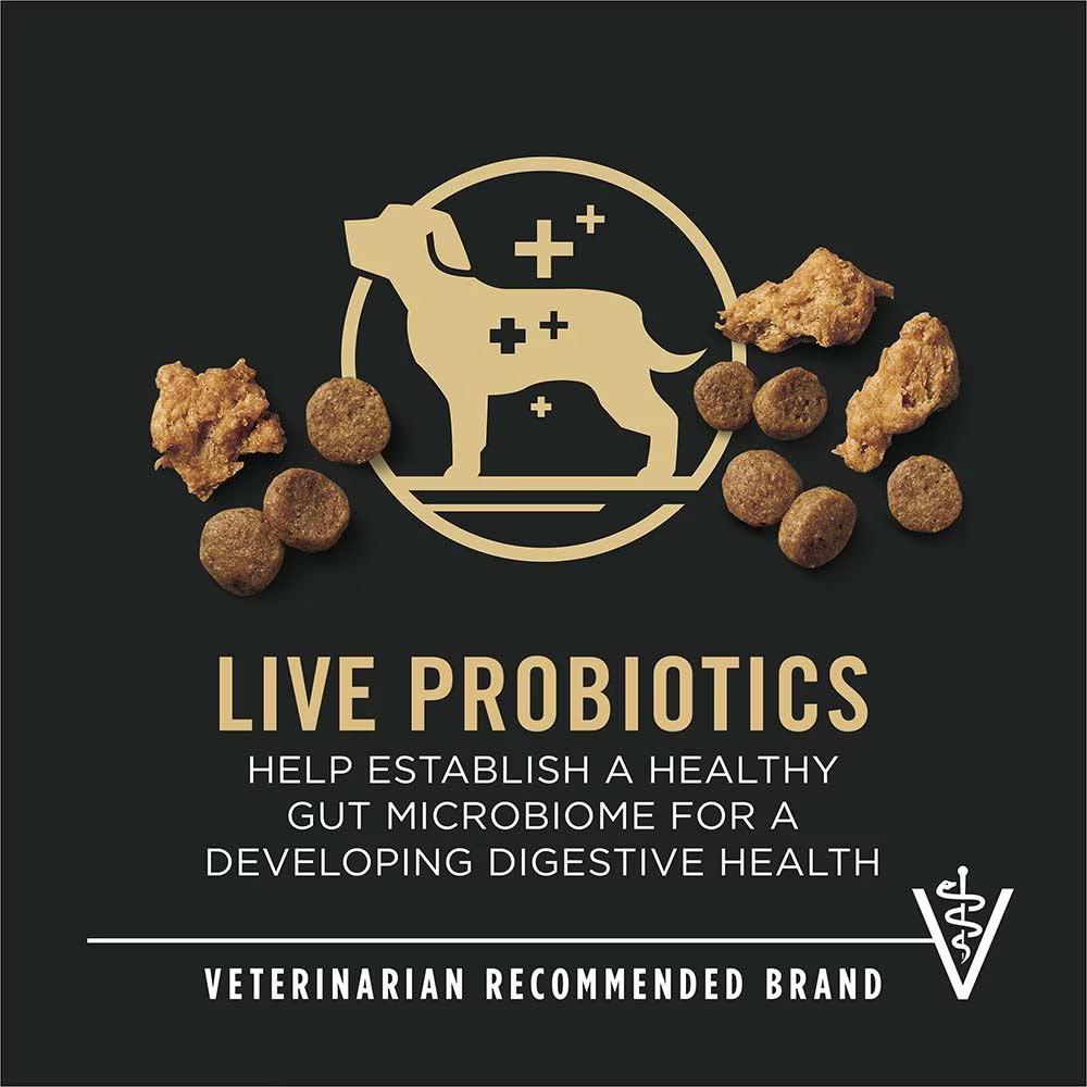 Development Shredded Blend Chicken & Rice Dry Puppy Food - Image 7