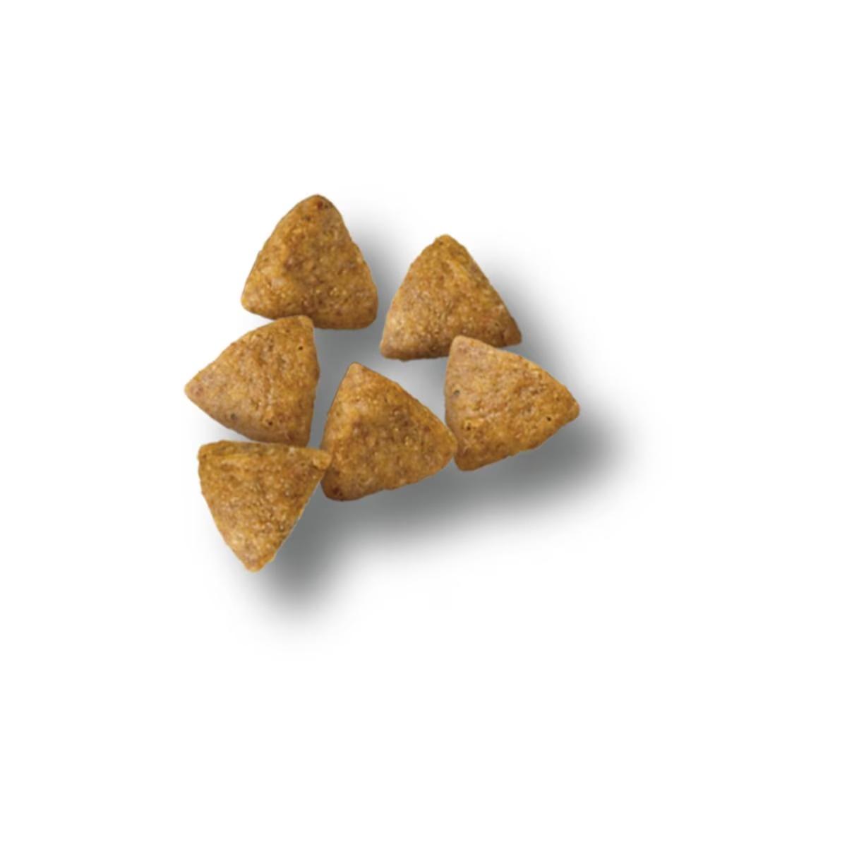 Specialized Adult Small Breed Chicken & Rice Formula Dog Food - Image 2