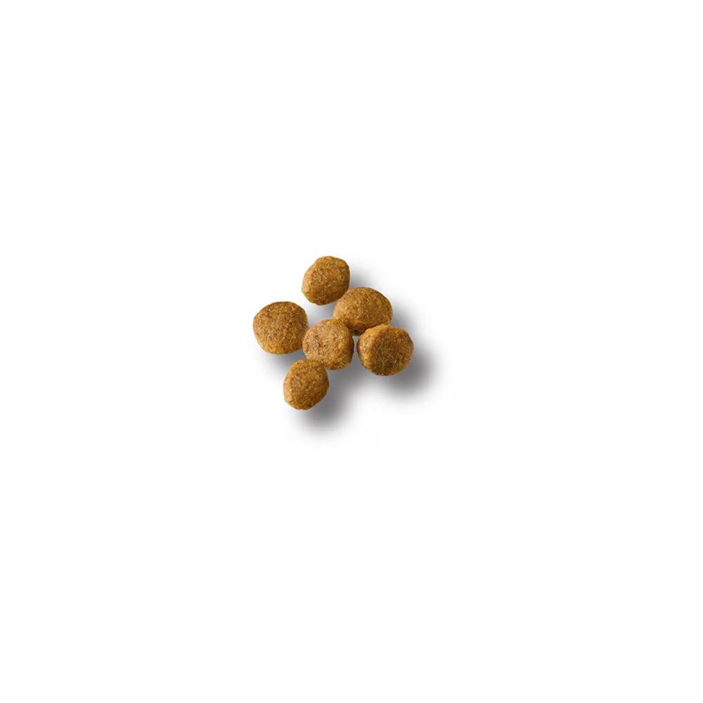 Development Small Breed Chicken & Rice Dry Puppy Food - Image 2