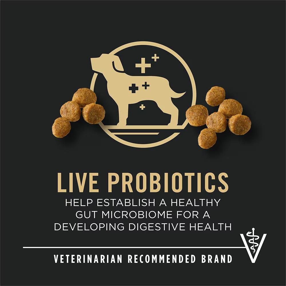 Development Small Breed Chicken & Rice Dry Puppy Food - Image 7