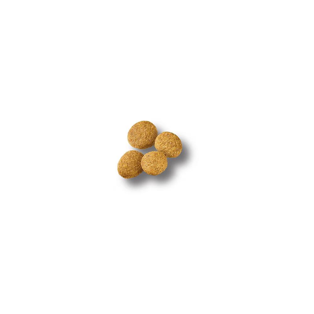 Development Large Breed Chicken & Rice Dry Puppy Food - Image 2
