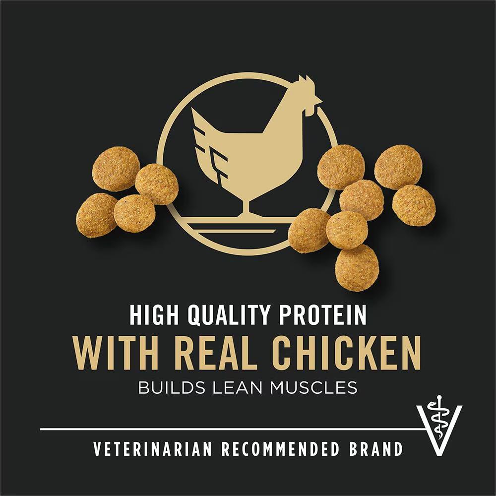 Development Large Breed Chicken & Rice Dry Puppy Food - Image 3