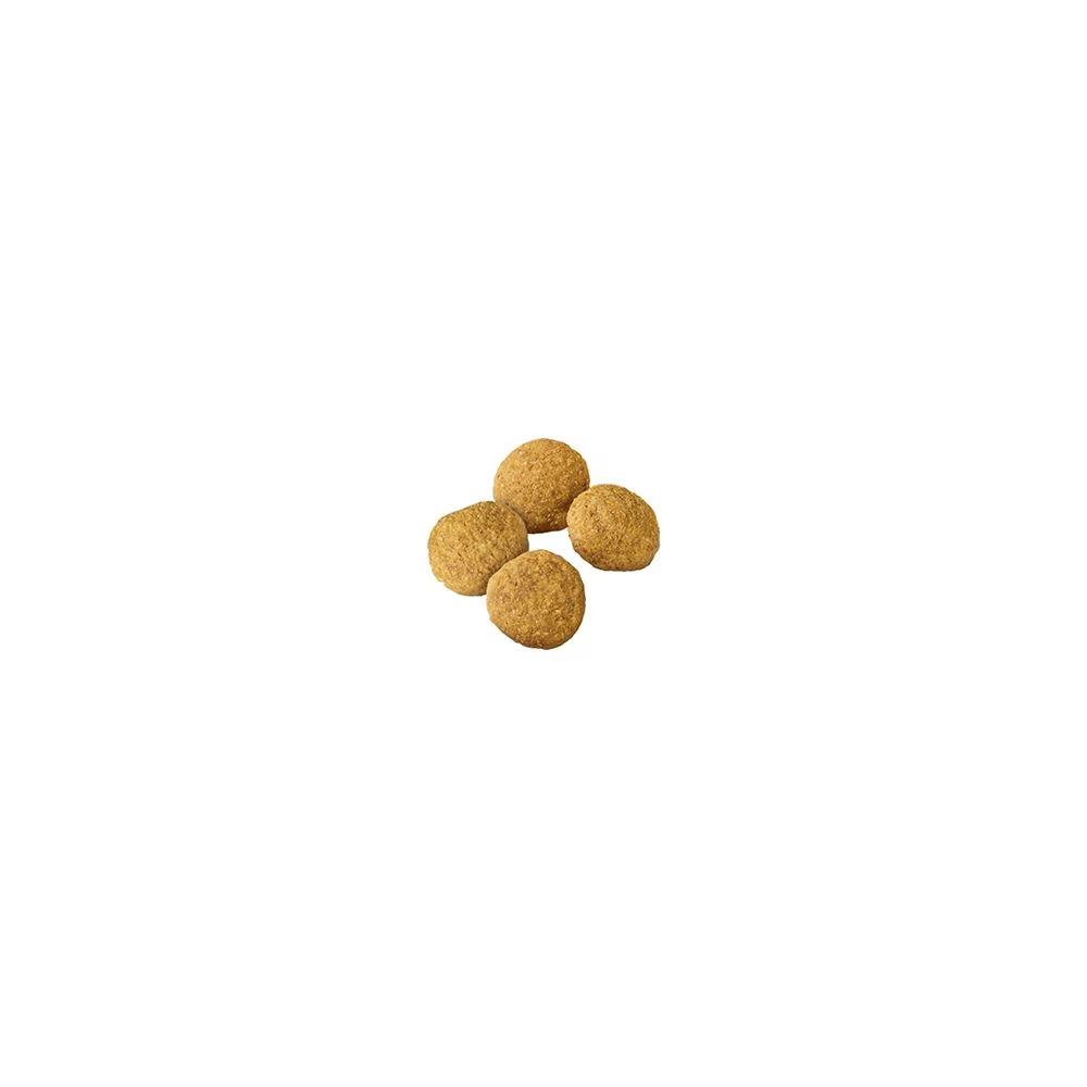 Specialized Large Breed Chicken and Rice Dry Dog Food - Image 2
