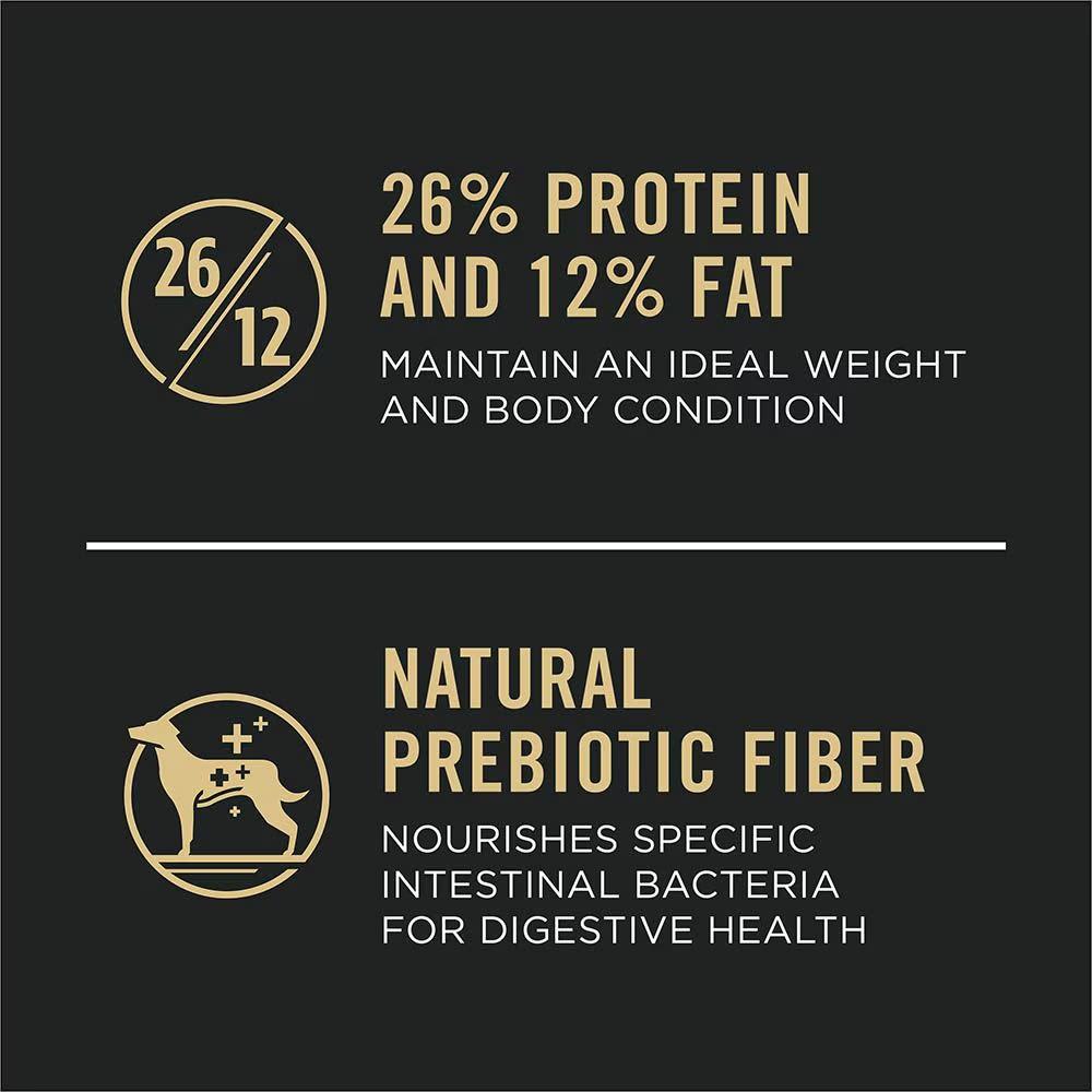 Specialized Large Breed Chicken and Rice Dry Dog Food - Image 4
