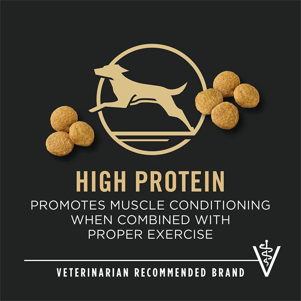 Specialized Large Breed Chicken and Rice Dry Dog Food - Image 6