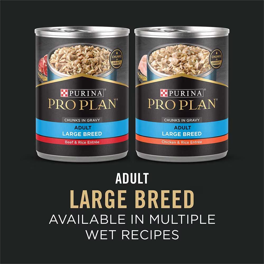 Specialized Large Breed Chicken and Rice Dry Dog Food - Image 7