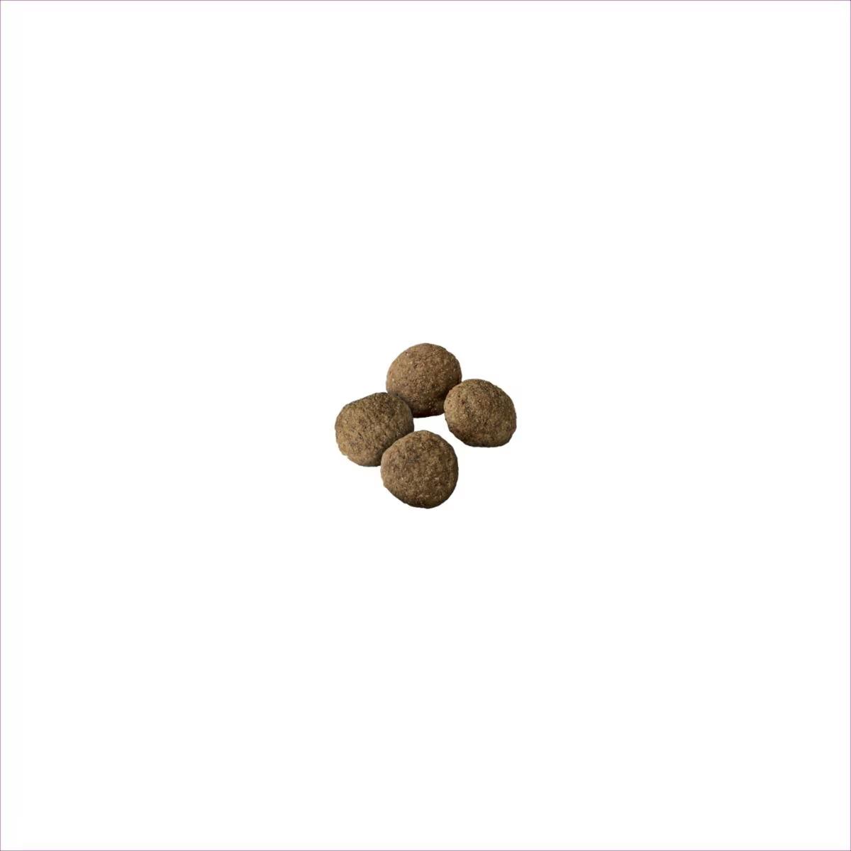 Sensitive Skin & Stomach Large Breed Salmon & Rice Formula Dry Dog Food - Image 2