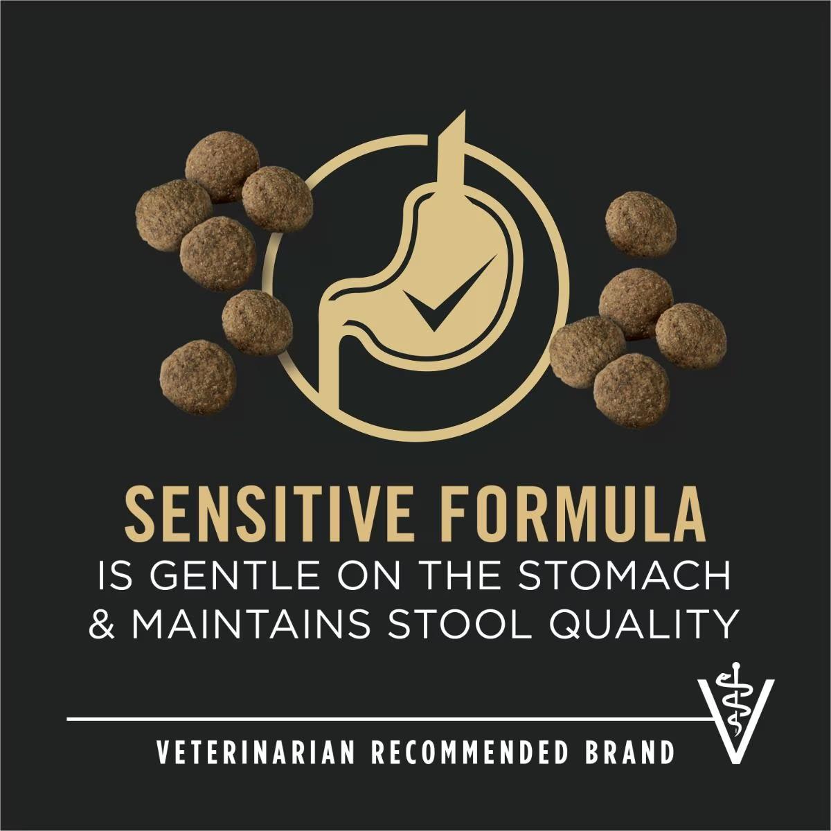 Sensitive Skin & Stomach Large Breed Salmon & Rice Formula Dry Dog Food - Image 3