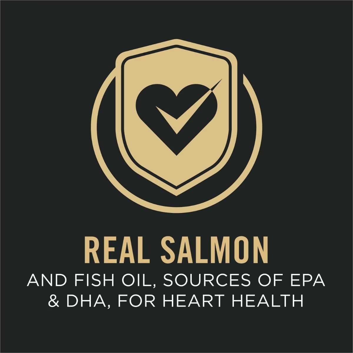 Sensitive Skin & Stomach Large Breed Salmon & Rice Formula Dry Dog Food - Image 4