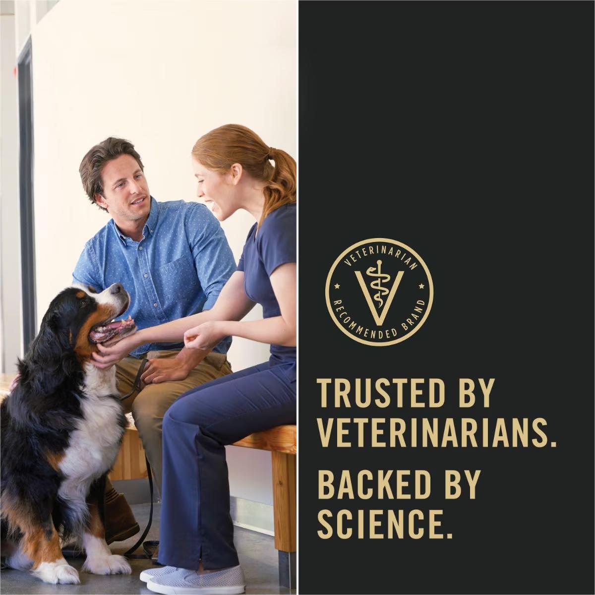 Sensitive Skin & Stomach Large Breed Salmon & Rice Formula Dry Dog Food - Image 9