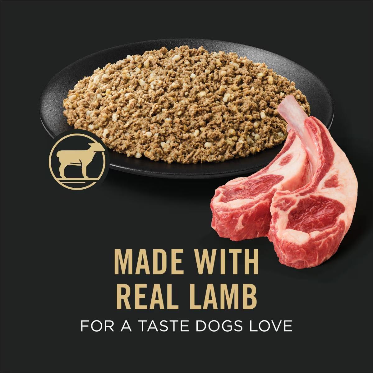 Sensitive Skin & Stomach Lamb & Oat Meal Classic Entrée Classic Wet Dog Food - Image 3