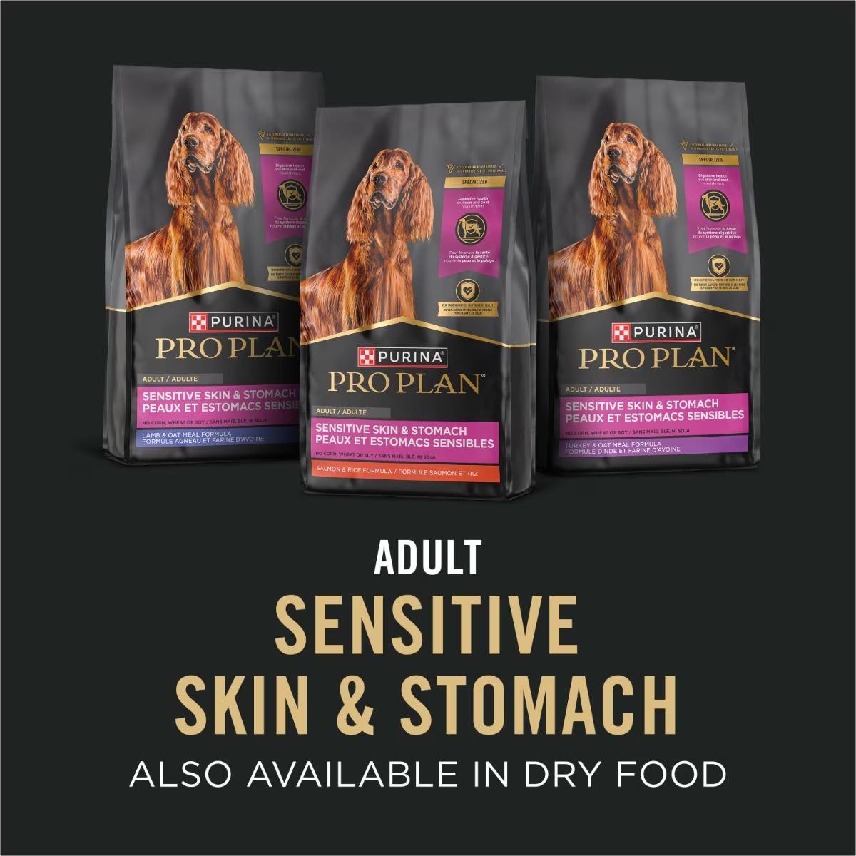 Sensitive Skin & Stomach Lamb & Oat Meal Classic Entrée Classic Wet Dog Food - Image 6