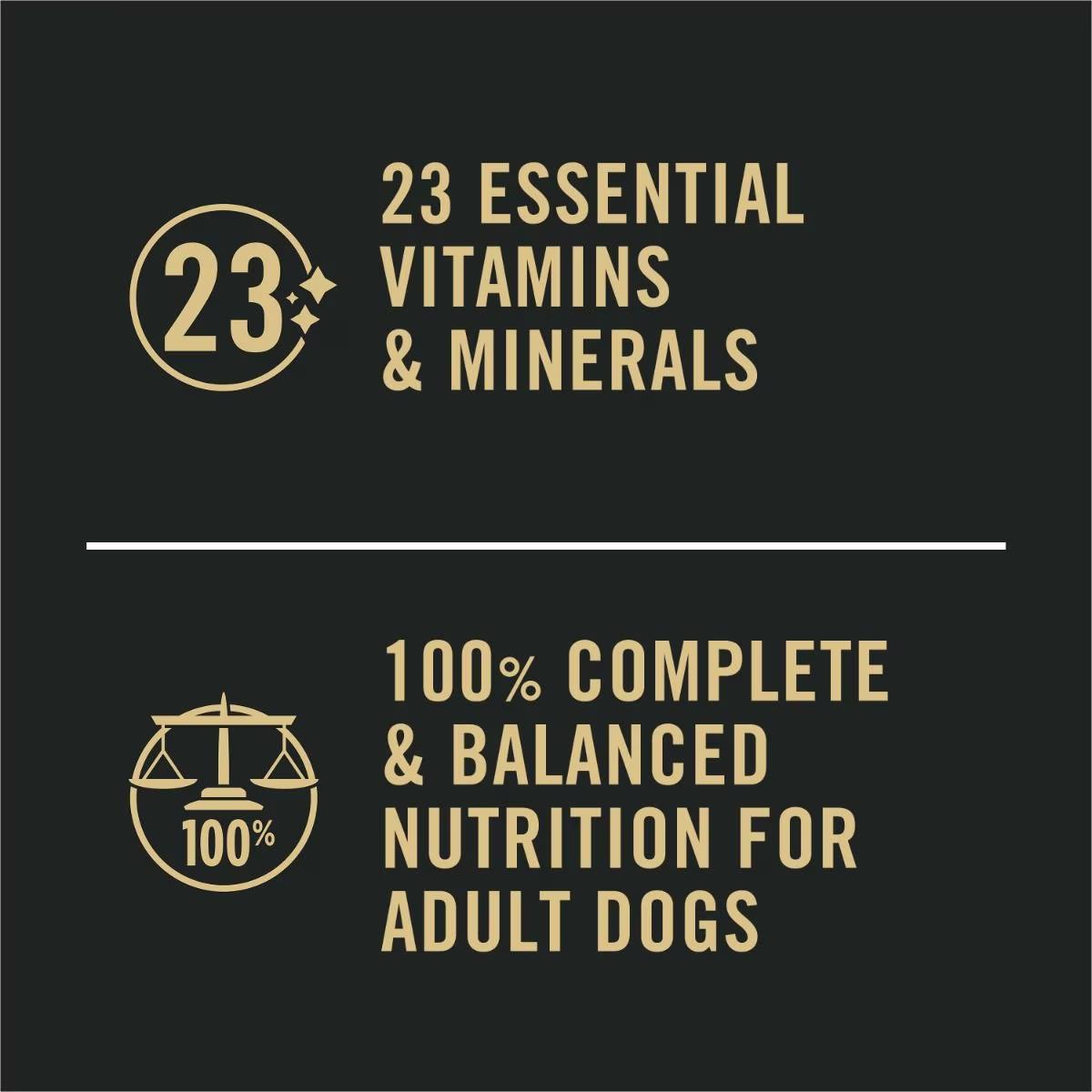 Sensitive Skin & Stomach Salmon & Rice and Lamb & Oat Meal Wet Dog Food Variety Pack - Image 5