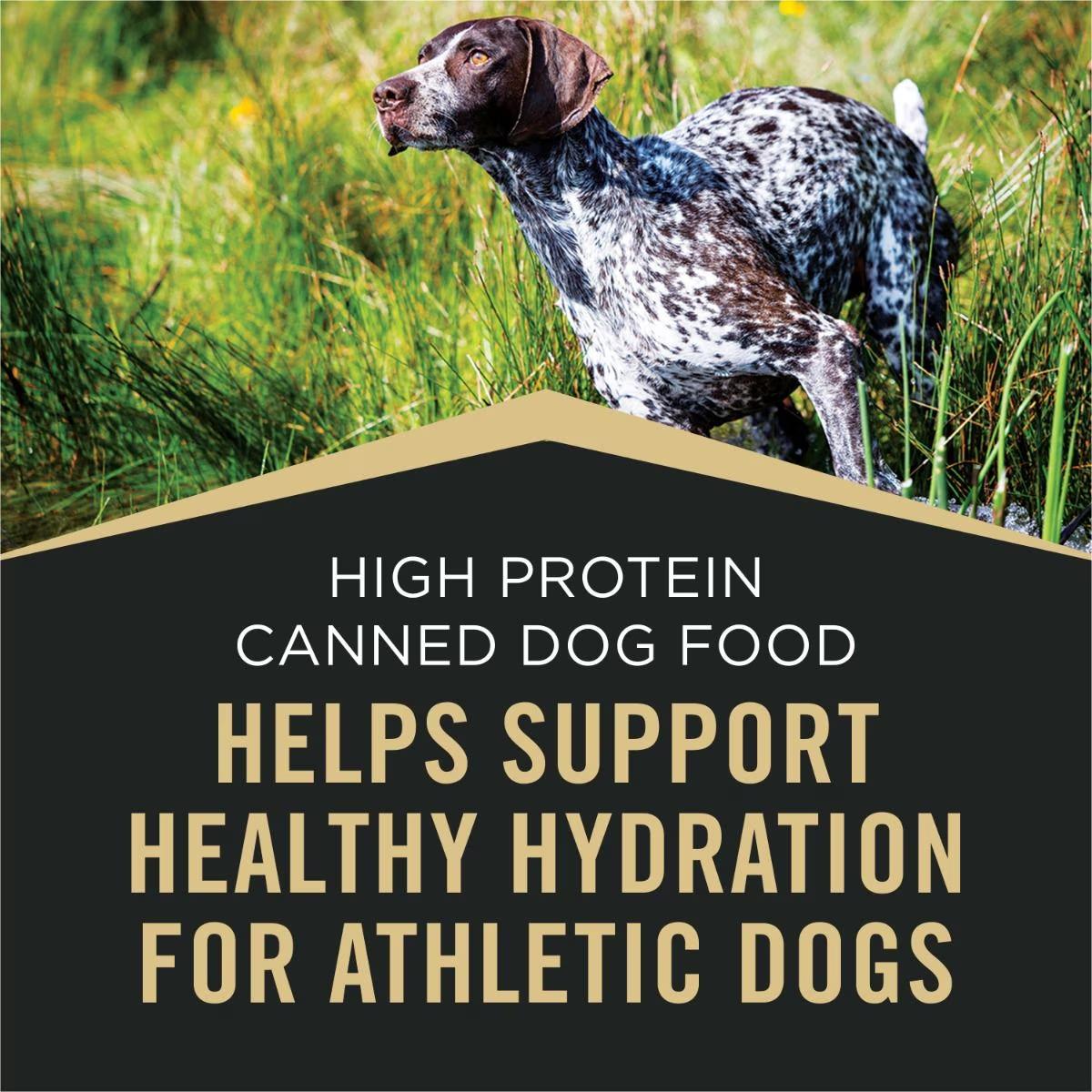 Sport High Protein Beef & Bison Classic Entrée Wet Dog Food - Image 4