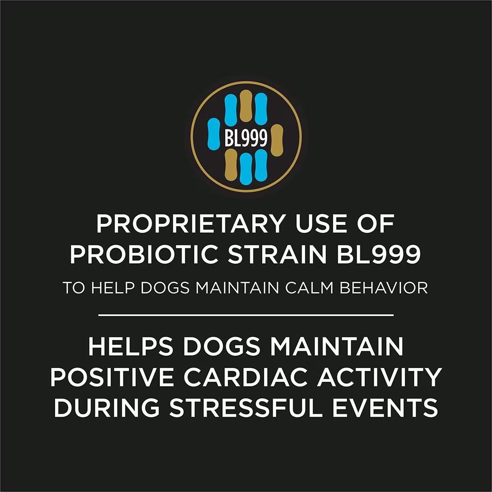 Calming Care Dog Probiotic Anxiety Supplement - Image 3