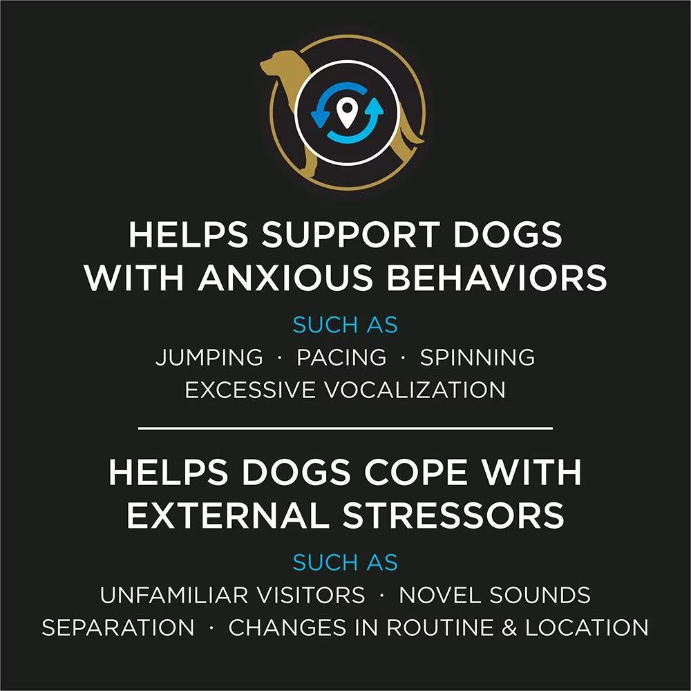 Calming Care Dog Probiotic Anxiety Supplement - Image 4