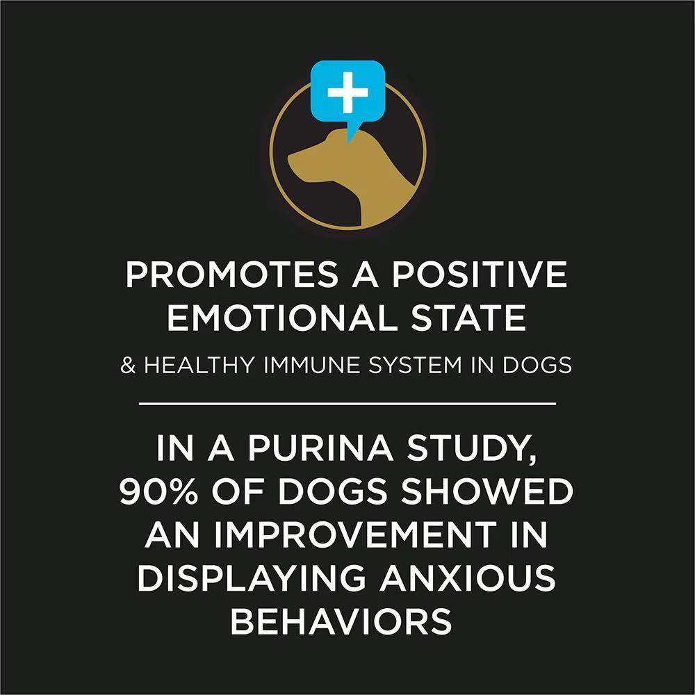 Calming Care Dog Probiotic Anxiety Supplement - Image 5