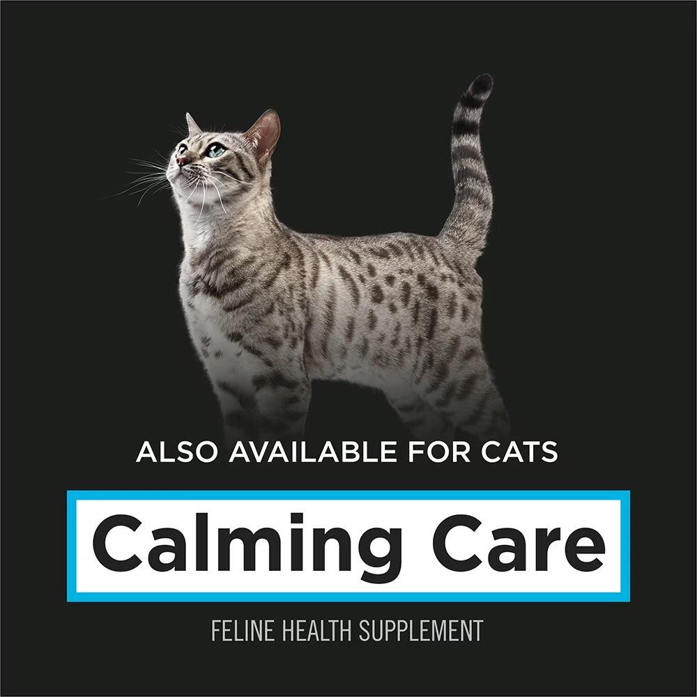 Calming Care Dog Probiotic Anxiety Supplement - Image 6