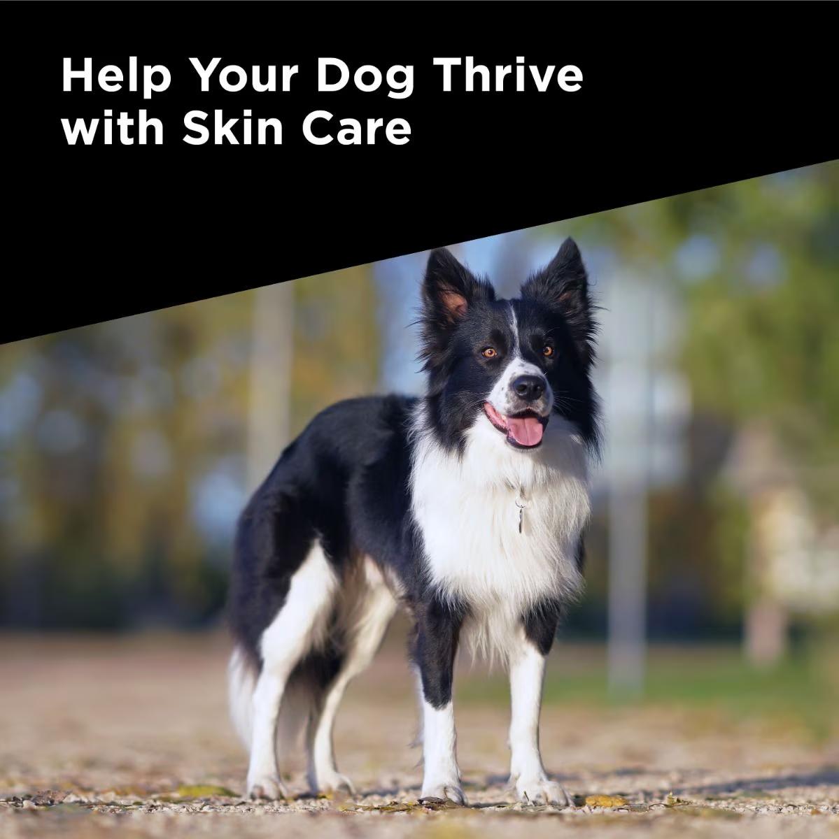 Skin Care Dog Supplements With Omega-3 Fish Oil and EPA and DHA - Image 10