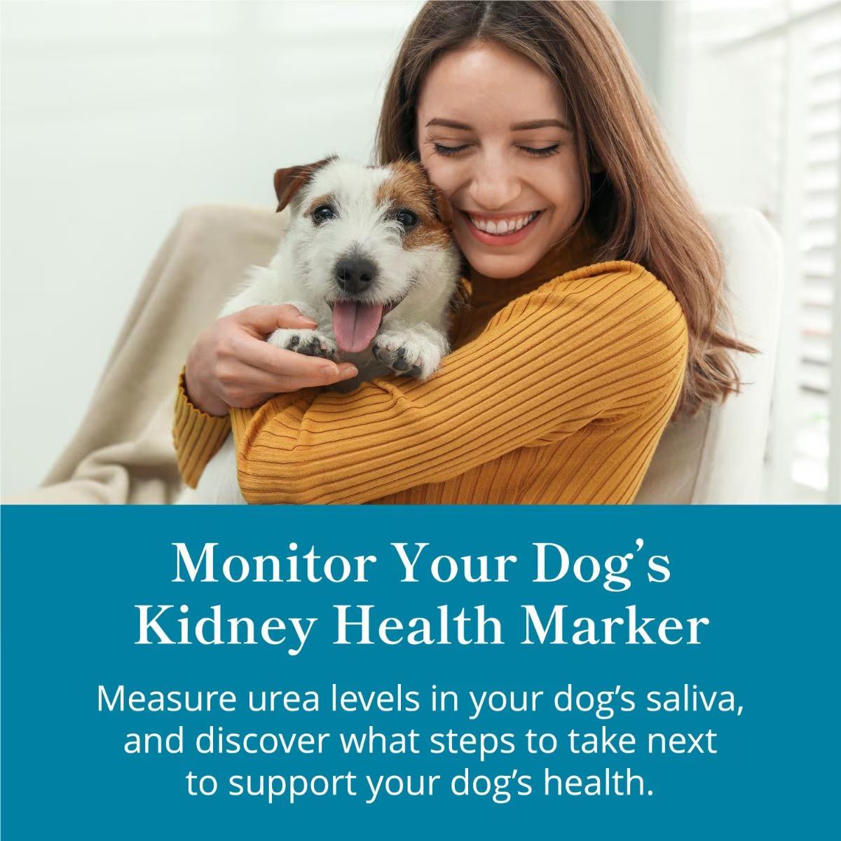 Petivity At-Home Kidney Health Test Kit for Dogs - Image 3