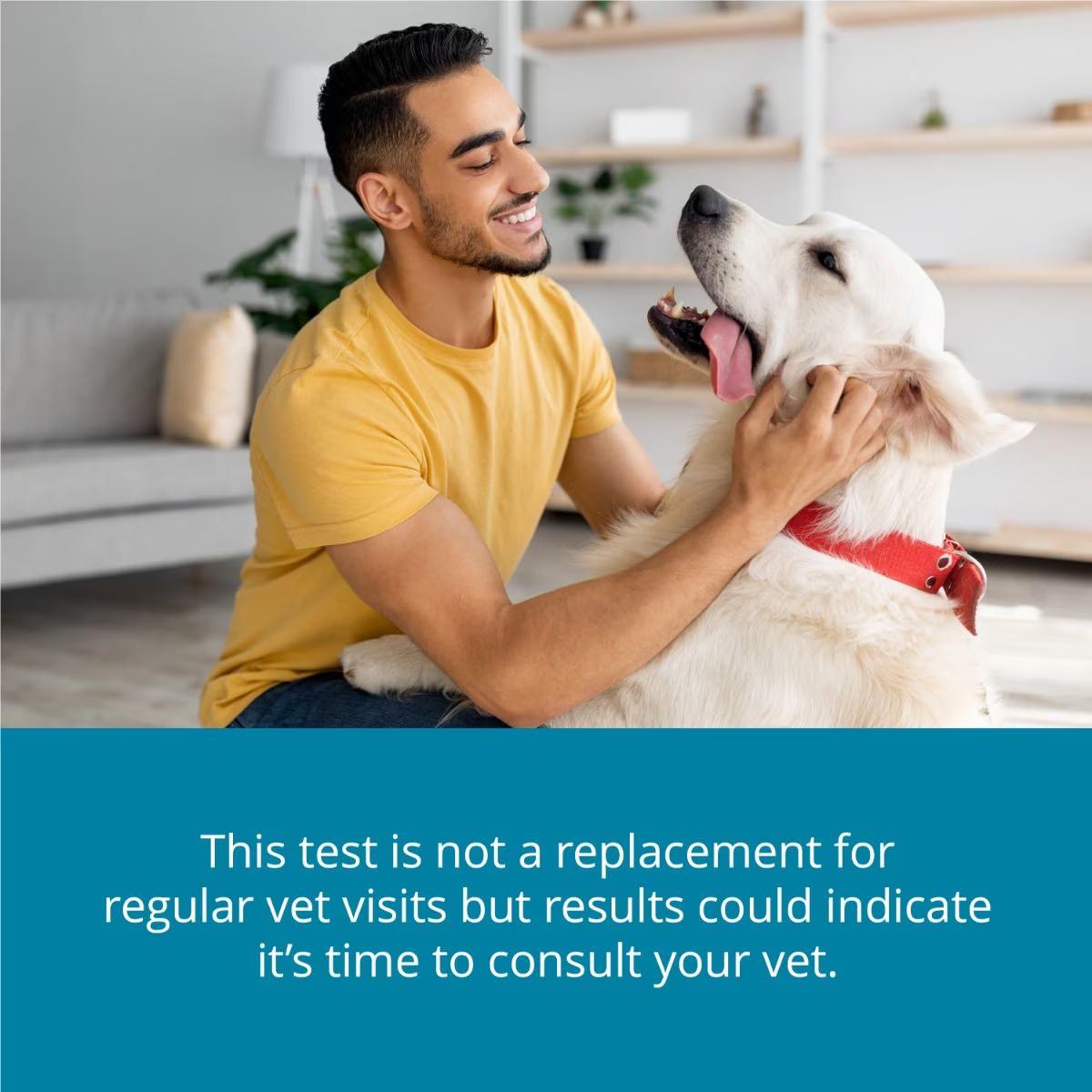 Petivity At-Home Kidney Health Test Kit for Dogs - Image 5