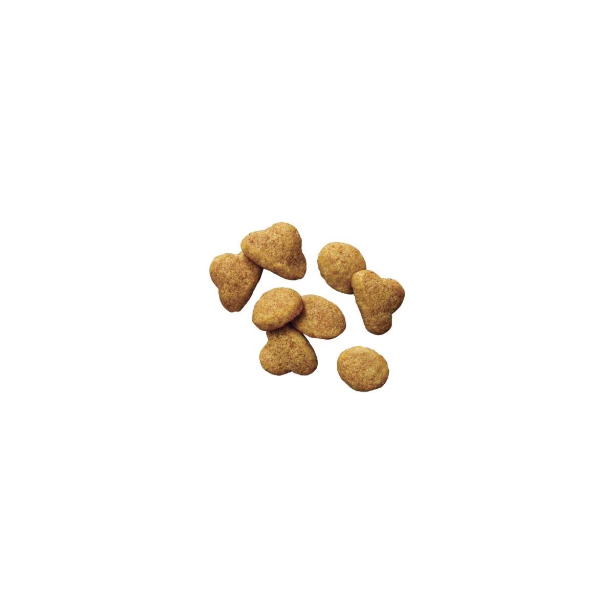 Adult Indoor Chicken & Rice Formula Dry Cat Food - Image 2