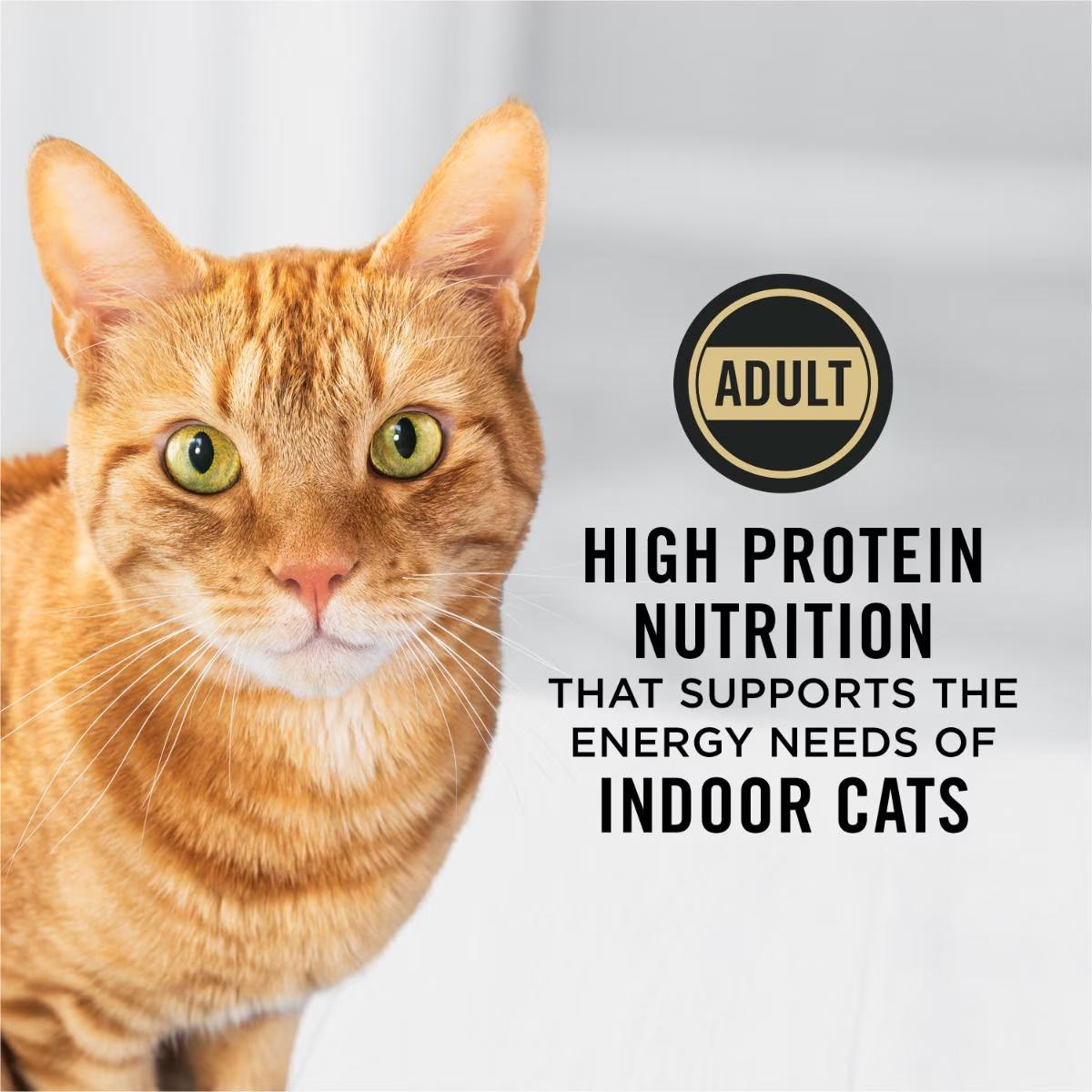 Adult Indoor Chicken & Rice Formula Dry Cat Food - Image 3