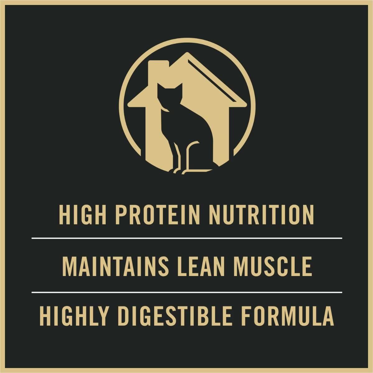 Adult Indoor Chicken & Rice Formula Dry Cat Food - Image 4