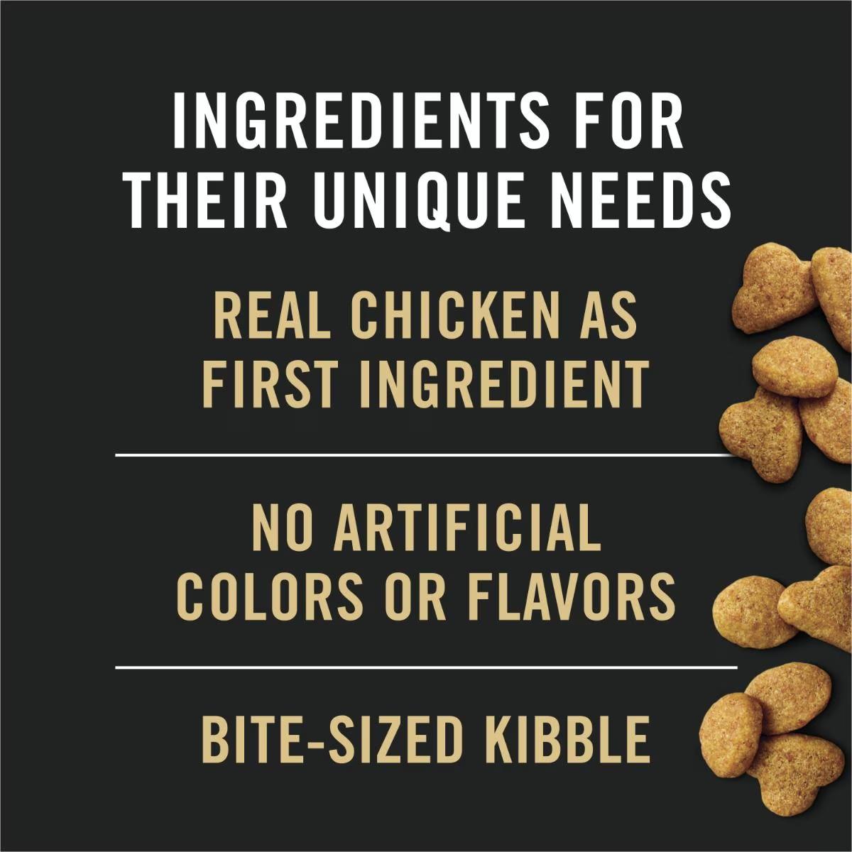 Adult Indoor Chicken & Rice Formula Dry Cat Food - Image 5